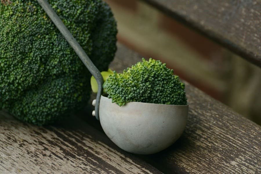 Photo de brocoli pour illustrer le Protocole et régime anti cancer du Docteur Gernez.